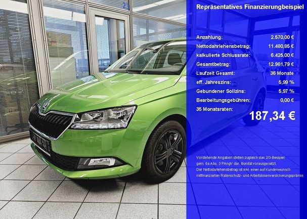 Skoda Fabia 55 kW image number 1