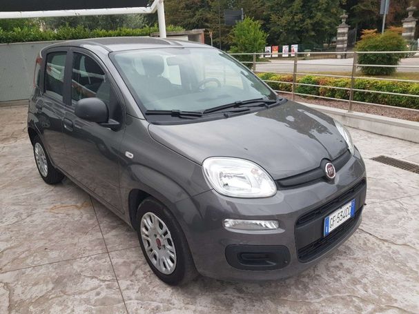 Fiat Panda 1.0 Hybrid City Life 51 kW image number 2