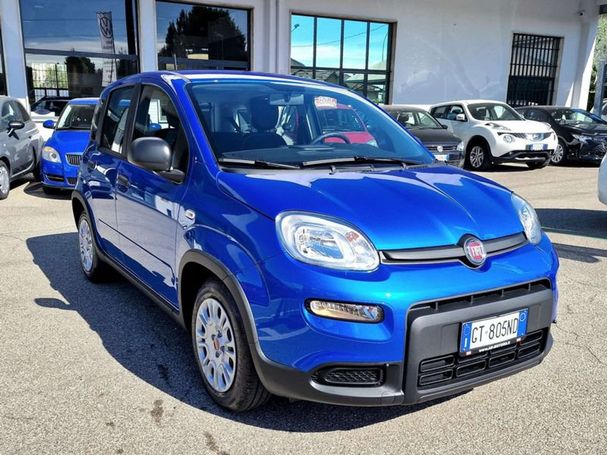 Fiat Panda 1.0 Hybrid 51 kW image number 2