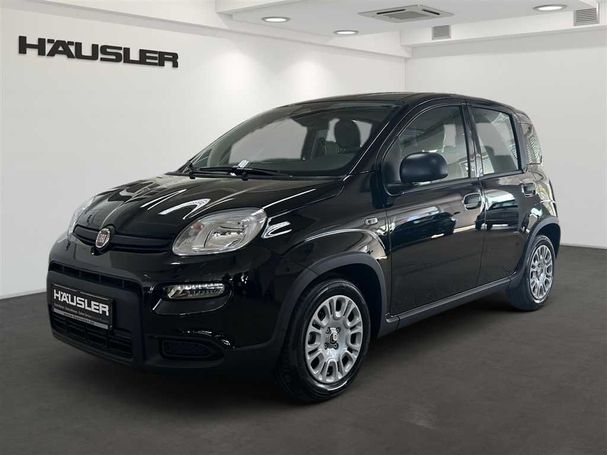 Fiat Panda 51 kW image number 1