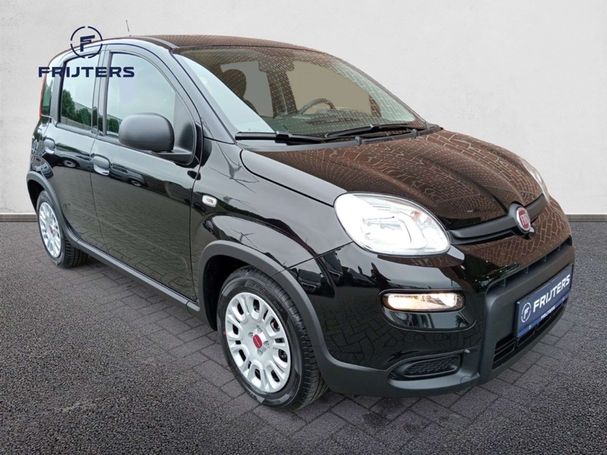 Fiat Panda 1.0 Hybrid 51 kW image number 2