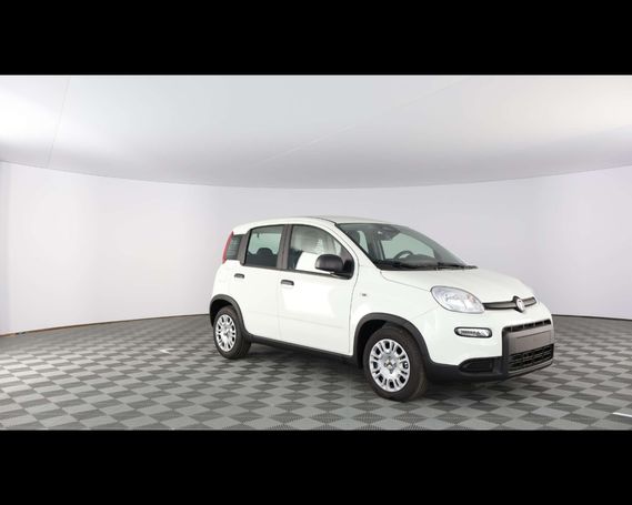 Fiat Panda 51 kW image number 6