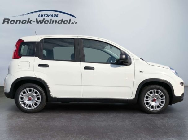 Fiat Panda 51 kW image number 6