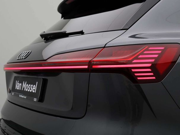 Audi Q8 50 quattro e-tron 95 kWh 250 kW image number 40