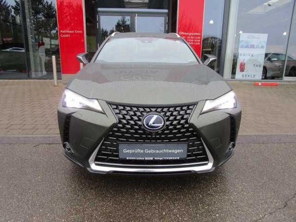 Lexus UX 250h Luxury Line 135 kW image number 8