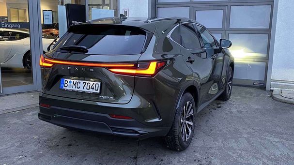 Lexus NX 350 h 179 kW image number 7