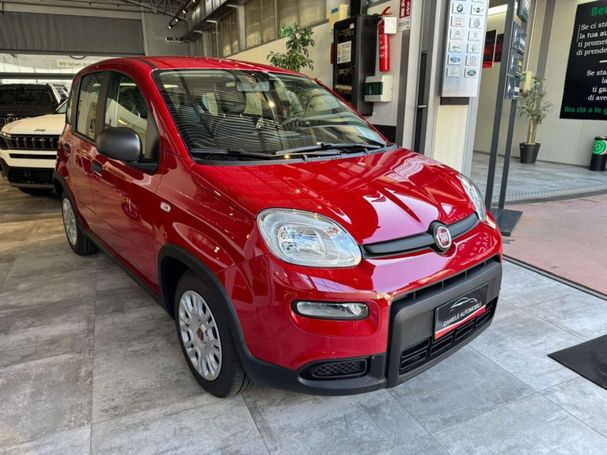 Fiat Panda 1.0 Hybrid 51 kW image number 2