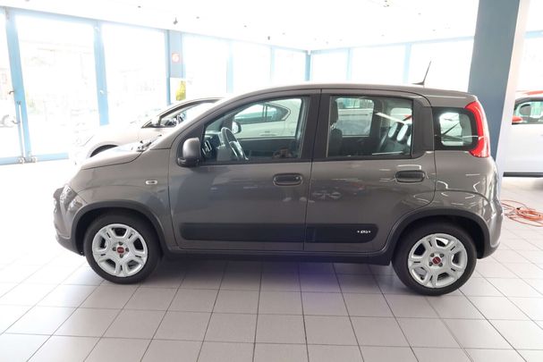 Fiat Panda 1.0 Hybrid 52 kW image number 5