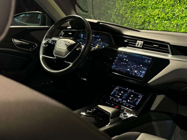 Audi e-tron 50 quattro 230 kW image number 31