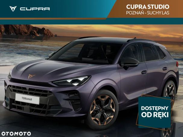 Cupra Terramar 110 kW image number 1