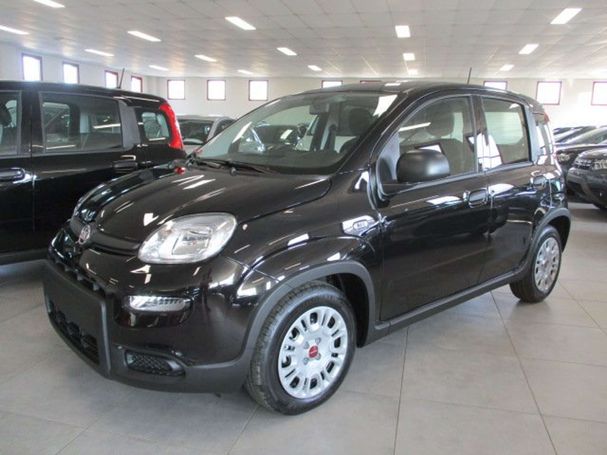 Fiat Panda 1.0 Hybrid 51 kW image number 1