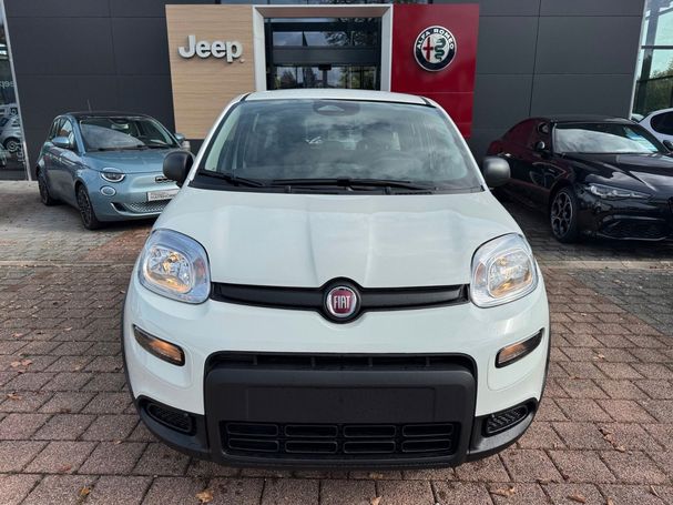 Fiat Panda 51 kW image number 3