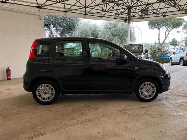 Fiat Panda 1.0 Hybrid 51 kW image number 6