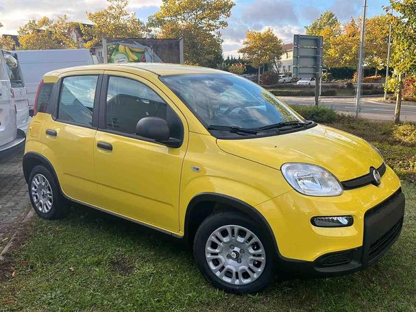 Fiat Panda 51 kW image number 4