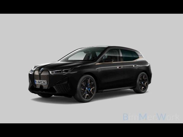 BMW iX 385 kW image number 1