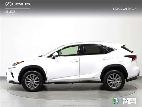 Lexus NX 300 H 145 kW image number 4