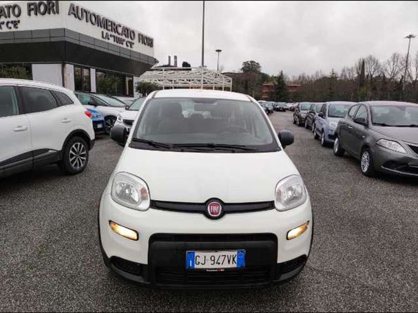 Fiat Panda 1.0 Hybrid City 51 kW image number 2