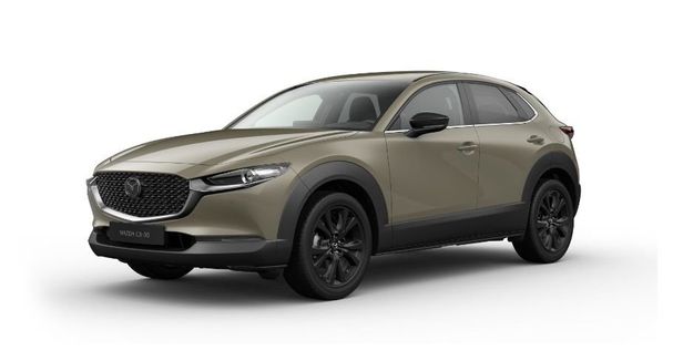 Mazda CX-30 104 kW image number 1