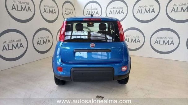 Fiat Panda 51 kW image number 4