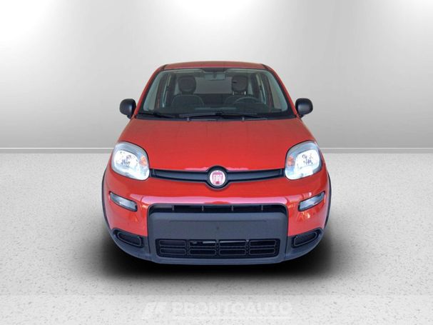 Fiat Panda 1.0 Hybrid 51 kW image number 3