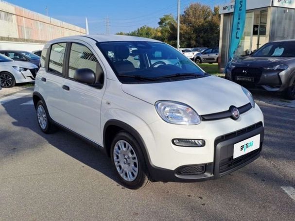 Fiat Panda 51 kW image number 2