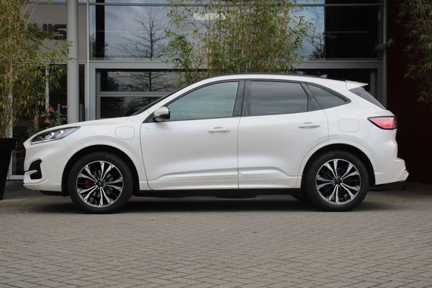 Ford Kuga 165 kW image number 3