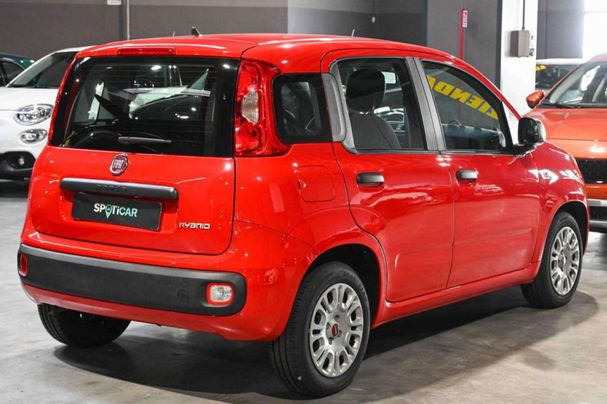 Fiat Panda 1.0 Hybrid 51 kW image number 4