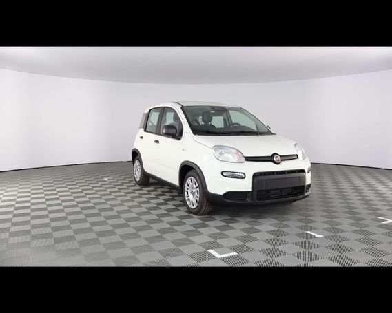 Fiat Panda 51 kW image number 3