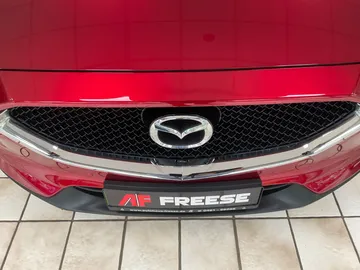 Car image 30