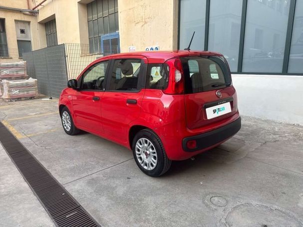 Fiat Panda 1.0 Hybrid Easy 51 kW image number 3