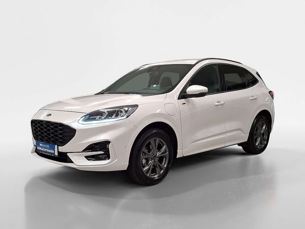 Ford Kuga 132 kW image number 1