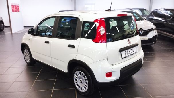 Fiat Panda 51 kW image number 4