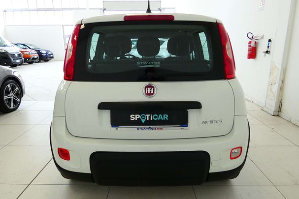 Fiat Panda 1.0 Hybrid City 51 kW image number 4