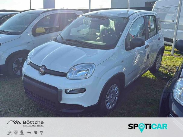 Fiat Panda 51 kW image number 1