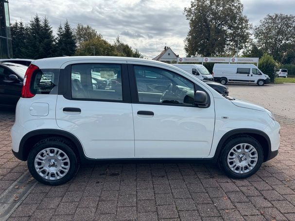 Fiat Panda 51 kW image number 4