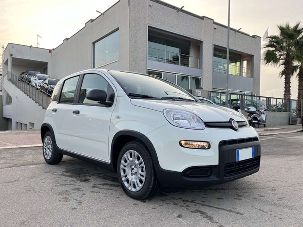 Fiat Panda 51 kW image number 3