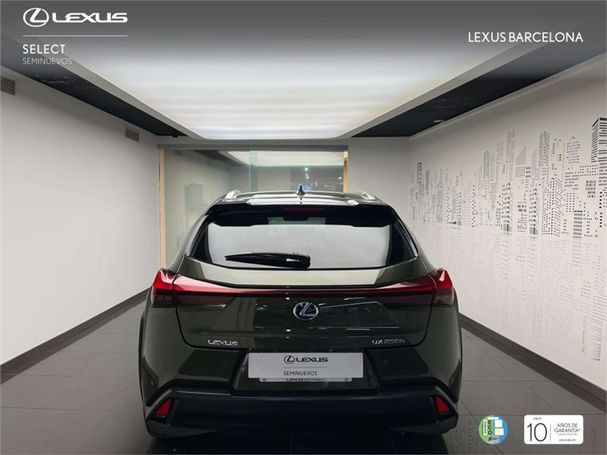 Lexus UX 135 kW image number 3