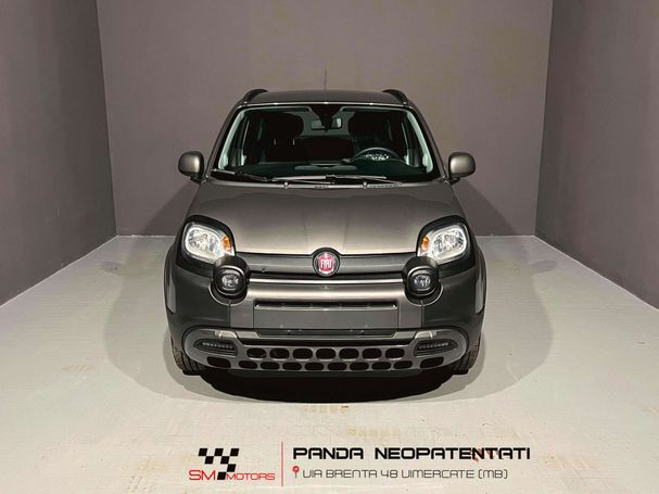 Fiat Panda 1.0 Hybrid 51 kW image number 3