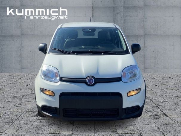 Fiat Panda 51 kW image number 4