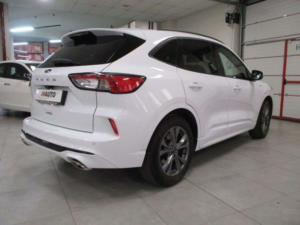 Ford Kuga 1.5 EcoBlue ST-Line 88 kW image number 19