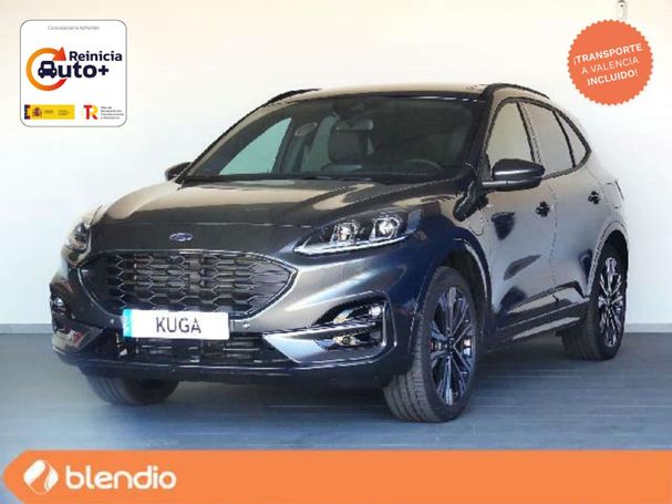 Ford Kuga 165 kW image number 1