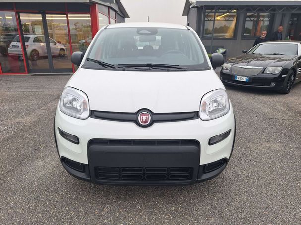 Fiat Panda 52 kW image number 6