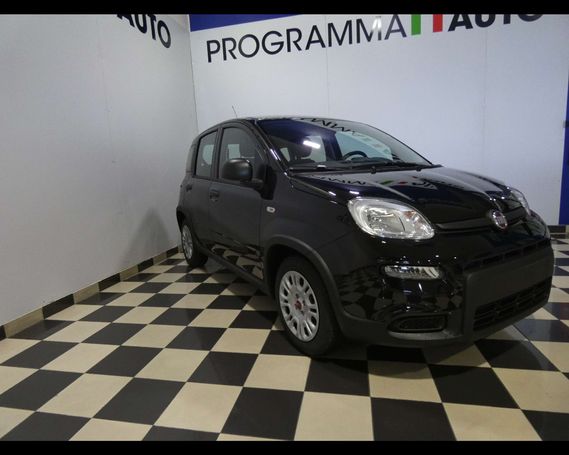 Fiat Panda 1.0 Hybrid 51 kW image number 2