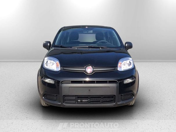 Fiat Panda 1.0 Hybrid 51 kW image number 3