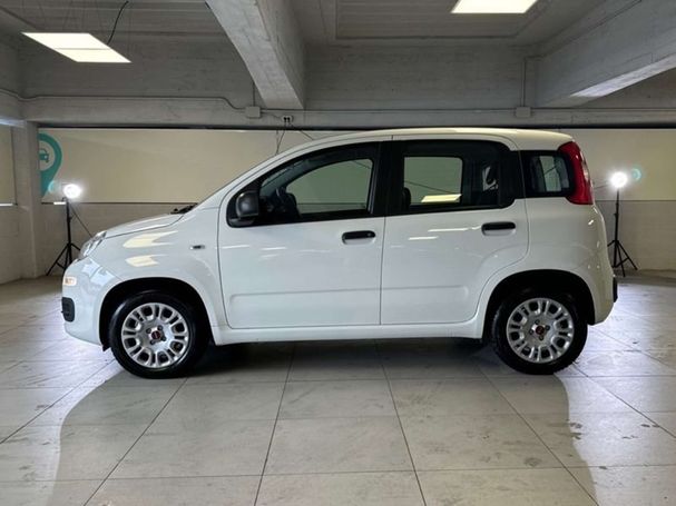 Fiat Panda 1.2 Easy 51 kW image number 5