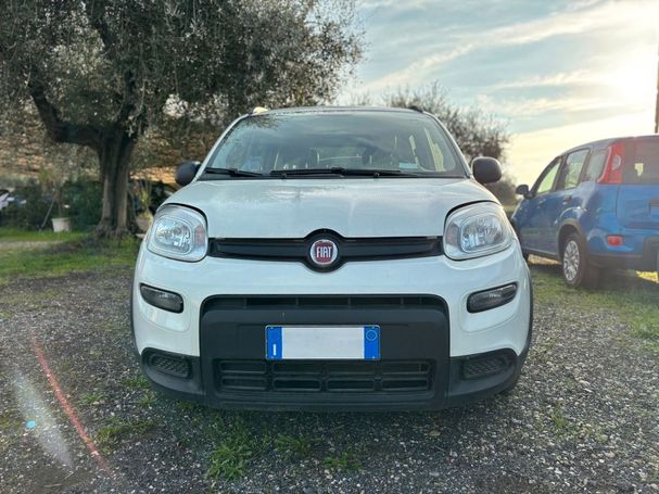 Fiat Panda 1.0 Hybrid City Life 51 kW image number 3