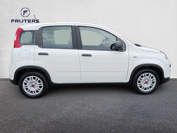 Fiat Panda 1.0 Hybrid 51 kW image number 4