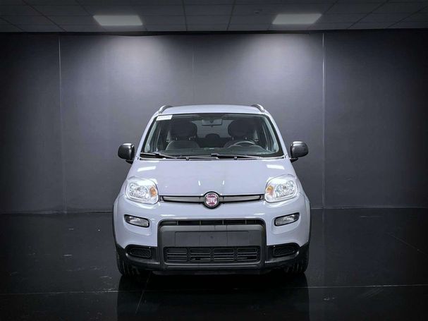 Fiat Panda 1.0 Hybrid City Life 51 kW image number 3