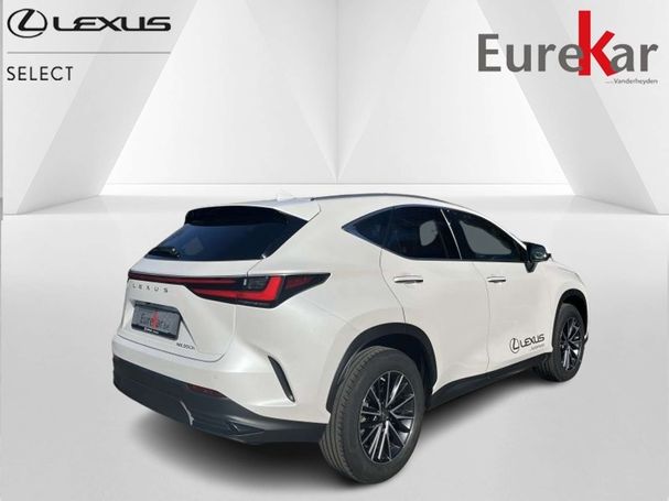 Lexus NX 350 h 179 kW image number 2