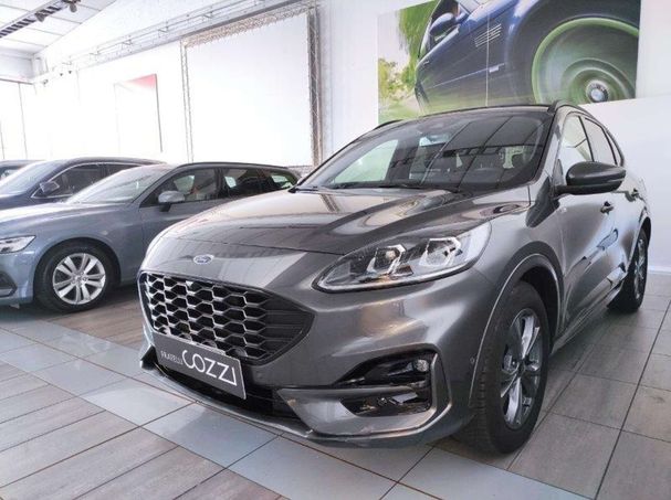 Ford Kuga 2.5 CVT 132 kW image number 1